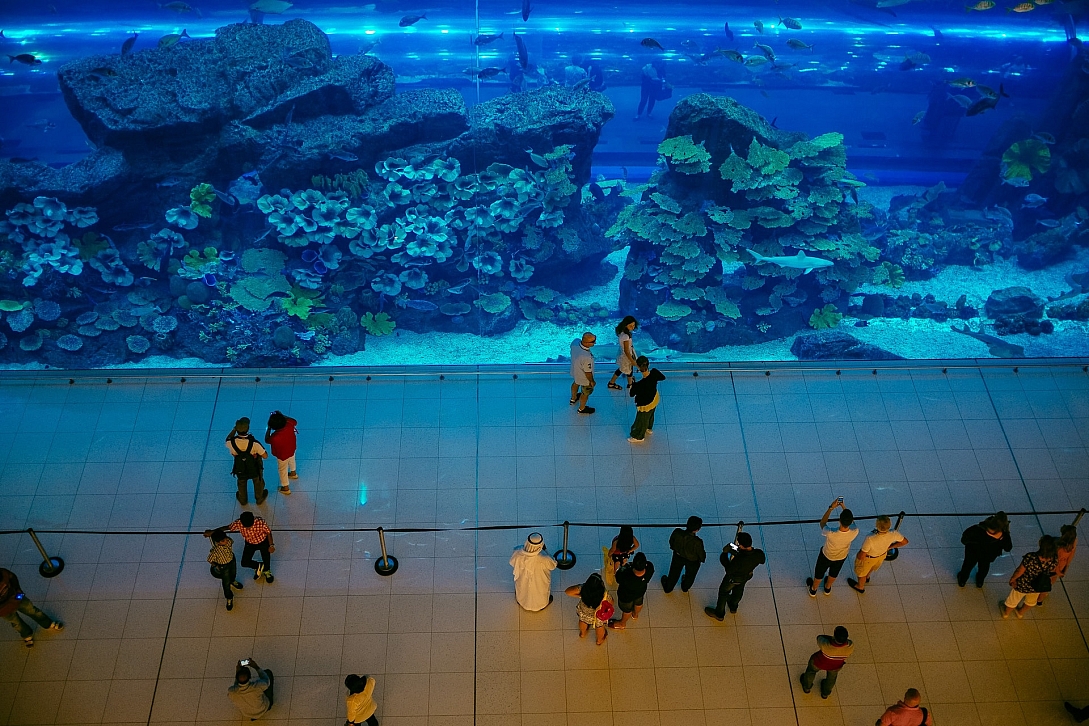 aquarium dubai mall