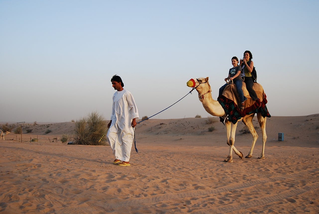 desert camel safari