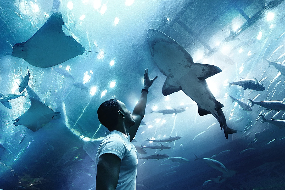 dubai aquarium